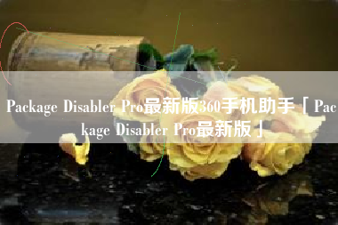 Package Disabler Pro最新版360手机助手「Package Disabler Pro最新版」
