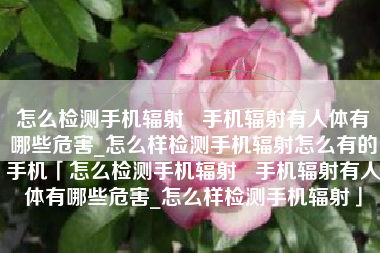 怎么检测手机辐射   手机辐射有人体有哪些危害_怎么样检测手机辐射怎么有的手机「怎么检测手机辐射   手机辐射有人体有哪些危害_怎么样检测手机辐射」