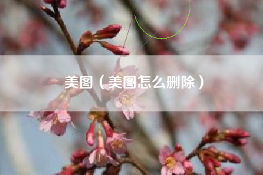 美图（美图怎么删除）