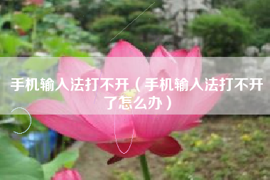 手机输入法打不开（手机输入法打不开了怎么办）