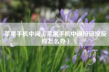 苹果手机中间（苹果手机中间按钮没反应怎么办）