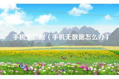手机无数据（手机无数据怎么办）
