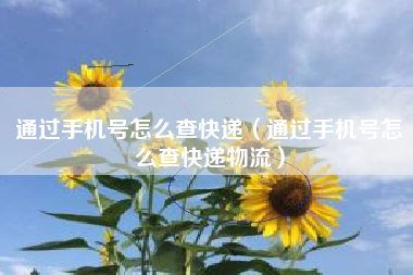 通过手机号怎么查快递（通过手机号怎么查快递物流）