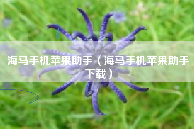 海马手机苹果助手（海马手机苹果助手下载）