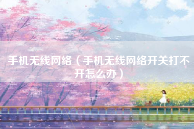 手机无线网络（手机无线网络开关打不开怎么办）