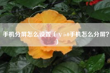 手机分屏怎么设置（ⅴiv0手机怎么分屏？）