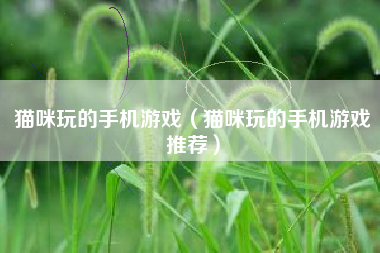 猫咪玩的手机游戏（猫咪玩的手机游戏推荐）