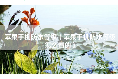 苹果手机防水等级（苹果手机防水等级怎么看的）