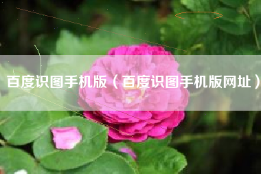 百度识图手机版（百度识图手机版网址）