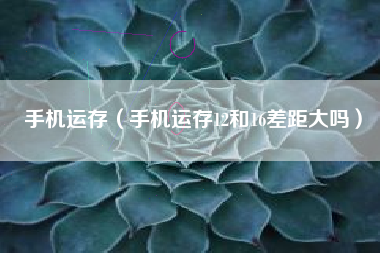 手机运存（手机运存12和16差距大吗）