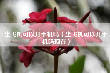 坐飞机可以开手机吗（坐飞机可以开手机吗现在）