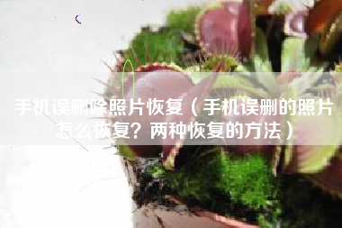 手机误删除照片恢复（手机误删的照片怎么恢复？两种恢复的方法）