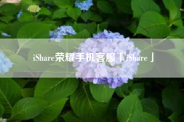 iShare荣耀手机客服「iShare」