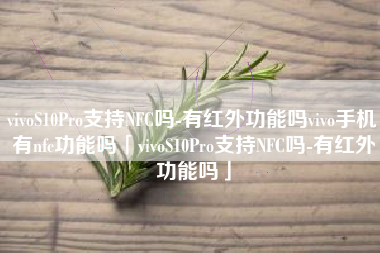 vivoS10Pro支持NFC吗-有红外功能吗vivo手机有nfc功能吗「vivoS10Pro支持NFC吗-有红外功能吗」