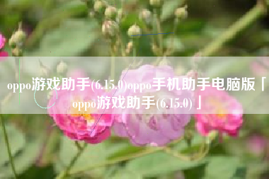 oppo游戏助手(6.15.0)oppo手机助手电脑版「oppo游戏助手(6.15.0)」