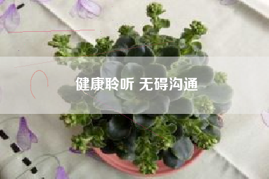 健康聆听 无碍沟通