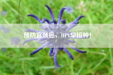 预防宫颈癌，HPV早接种！