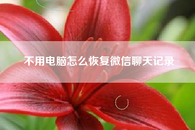 不用电脑怎么恢复微信聊天记录