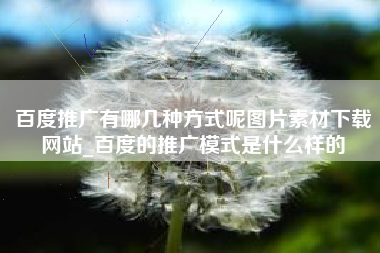 百度推广有哪几种方式呢图片素材下载网站_百度的推广模式是什么样的