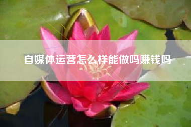 自媒体运营怎么样能做吗赚钱吗